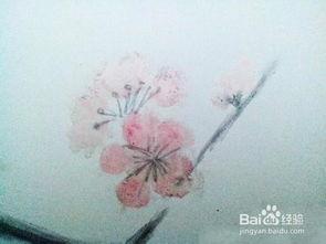 時(shí)光的痕跡 過期化妝品與文藝畫的詩(shī)意邂逅
